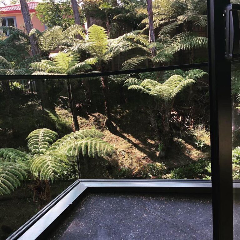 Glass Balustrades Auckland